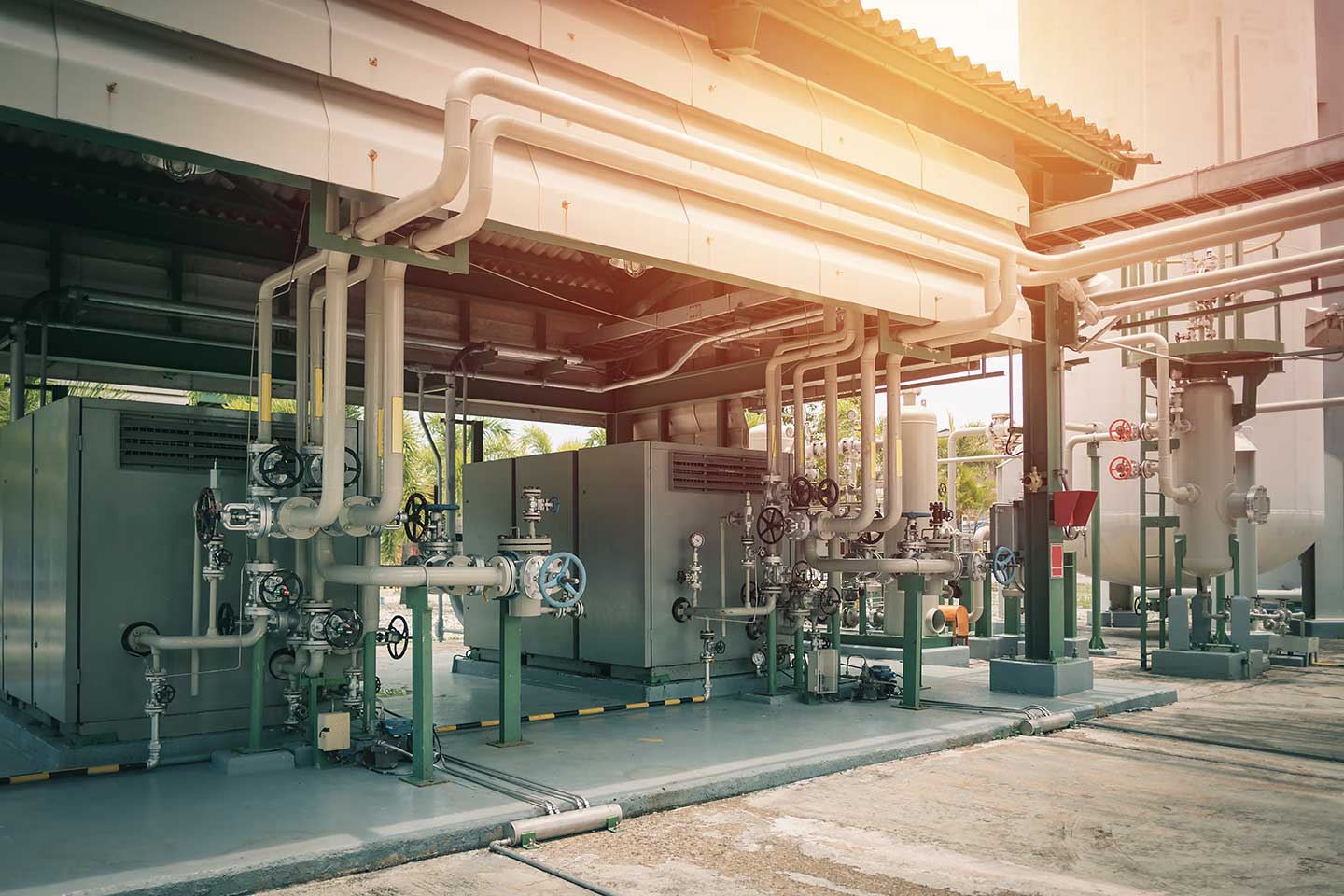 Multi-shaft compressors